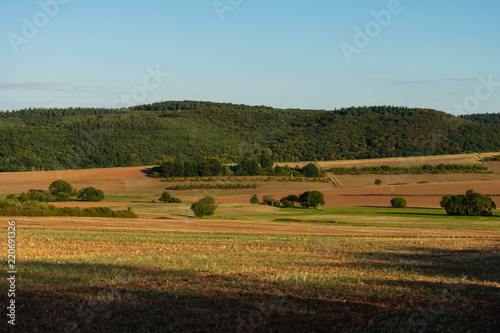 Landschaft am Donnersberg, Pfalz, im Spätsommer