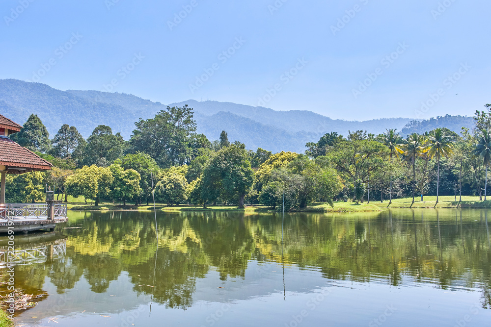 Beautiful Taiping Lake Gardens or Taman Tasik, Malaysia Beautiful Taiping Lake Gardens or Taman Tasik, Malaysia