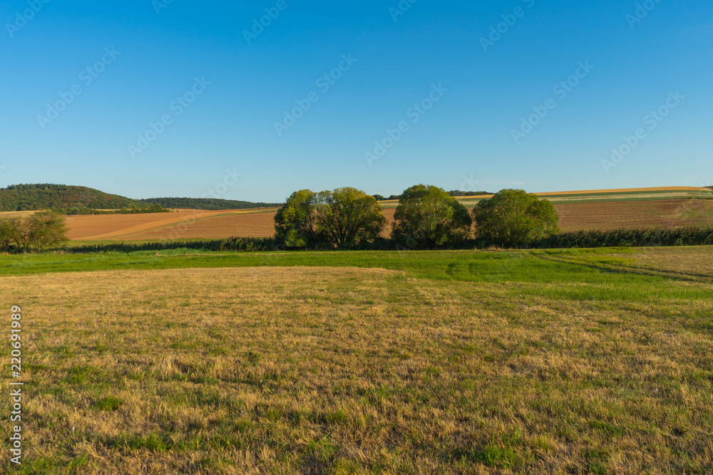 Felder nach der Ernte in der Pfalz, Sommer, Deutschland