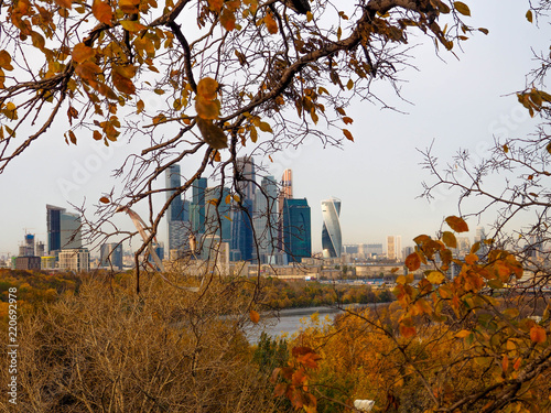 Photography urban Moscow landscape, Moscow city panorama. Autumn trees