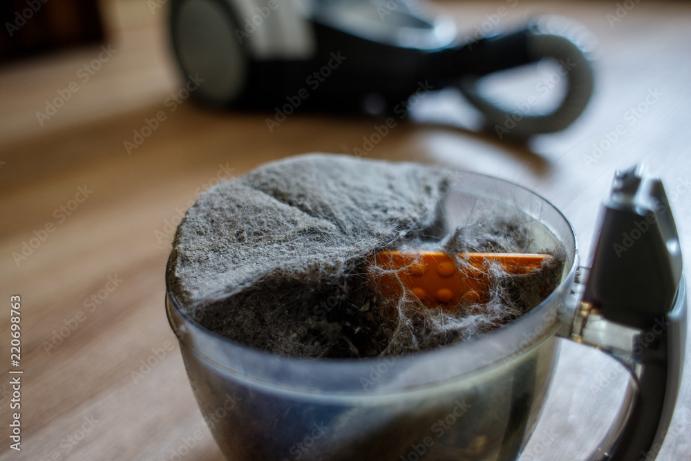 Fototapeta premium Trash and dust into the plastic cleaner container. Close up