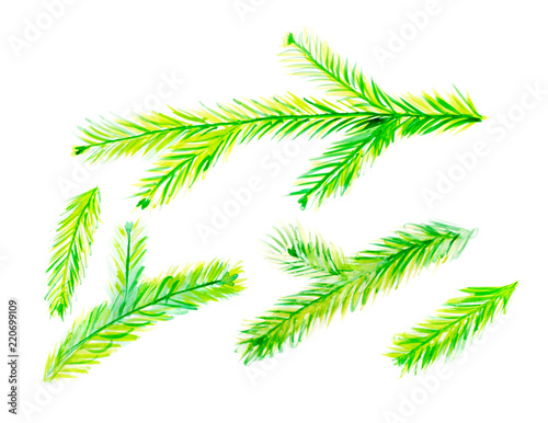 Collection of Green Watercolor Christmas Tree Branches Isolated