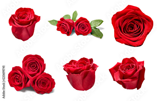Fototapeta Naklejka Na Ścianę i Meble -  flower rose petal blosspm background