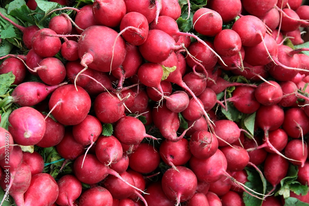 bunches of red radish close up bunches of red radish close up