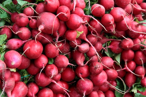 bunches of red radish close up