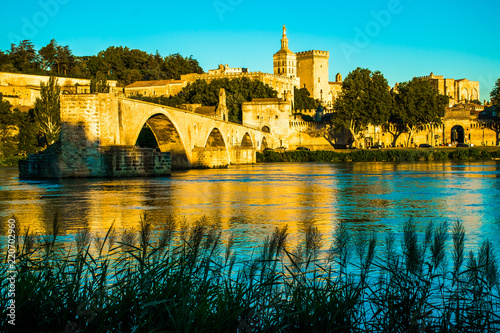 The city of Avignon at Sunset with Popes Palace in France