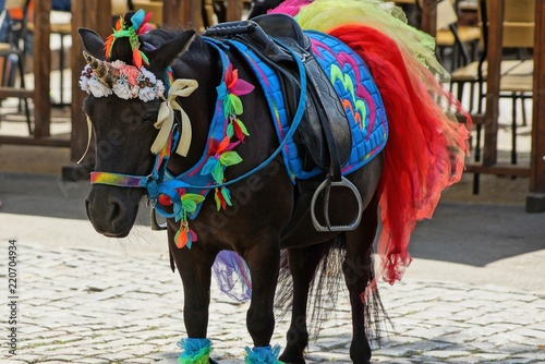 brown pony in colorful bright harness and unicorn dress in the street