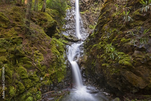 Lush Rainforest Foliage and Beautiful Lupin Falls in Strathcona Provincial Park on Vancouver Island British Columbia Canada