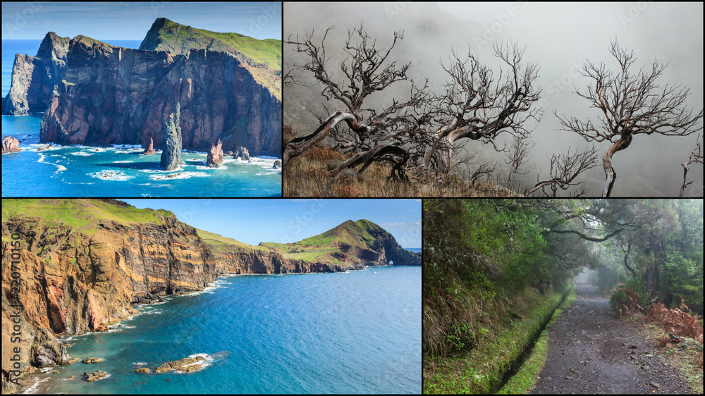 Collage of Madeira island Portugal