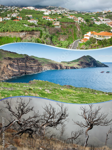 Collage of Madeira island Portugal 