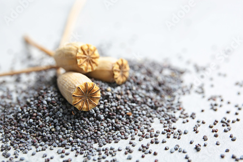 Dry poppy heads and seeds on grey background, closeup