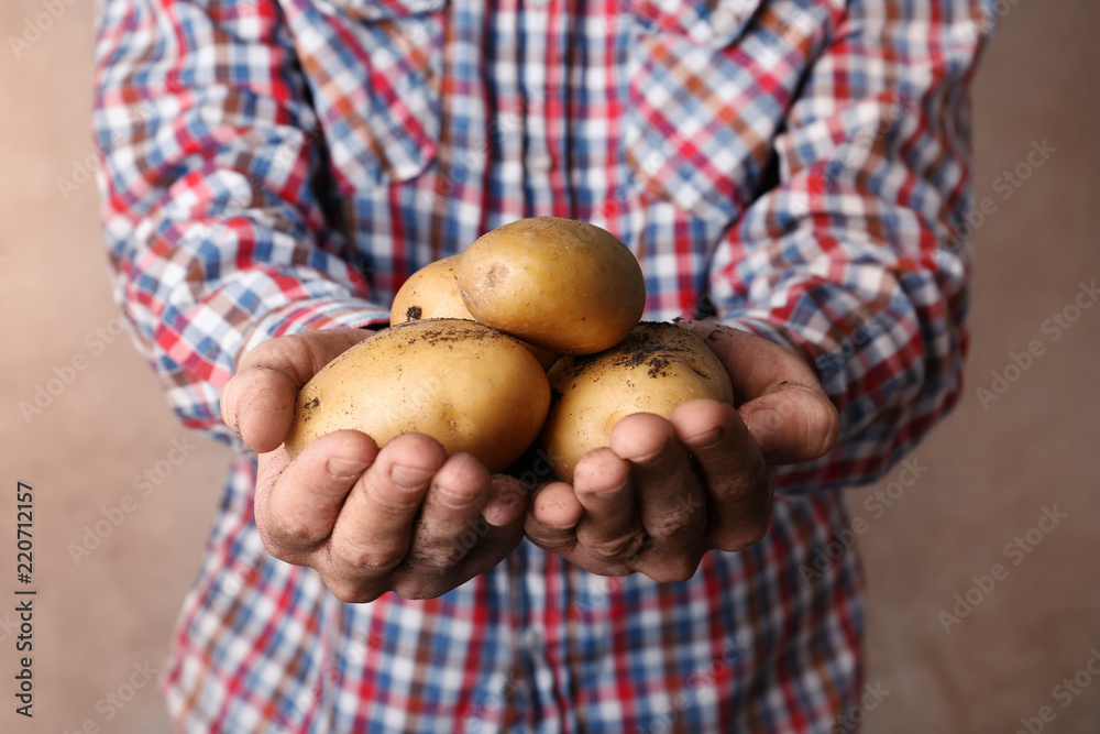 Person holding handful of fresh organic potatoes on color background Person holding handful of fresh organic potatoes on color background