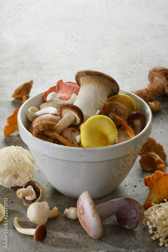Obraz na płótnie fresh uncooked exotic mushroom varieties w salonie