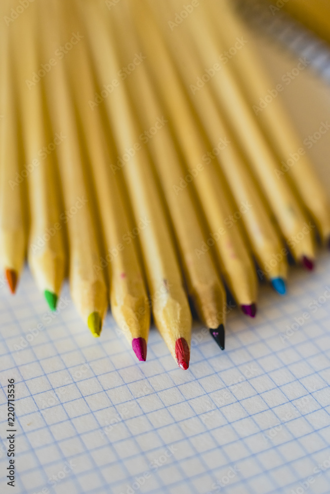Fototapeta premium Group of pencils arranged on graph paper.