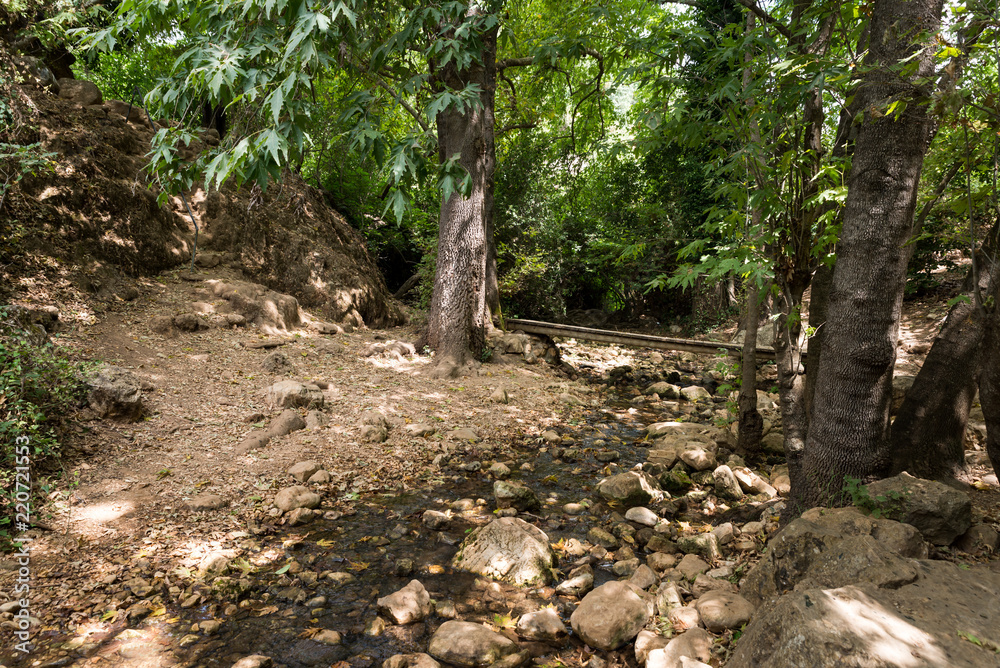 Amud Stream Nature Reserve in Northern Israel Amud Stream Nature Reserve in Northern Israel