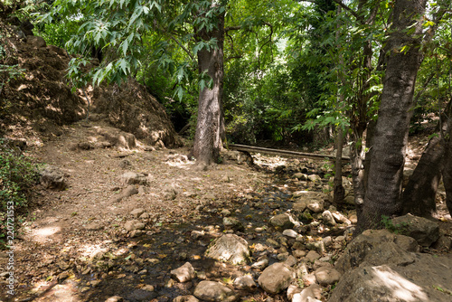 Amud Stream Nature Reserve in Northern Israel