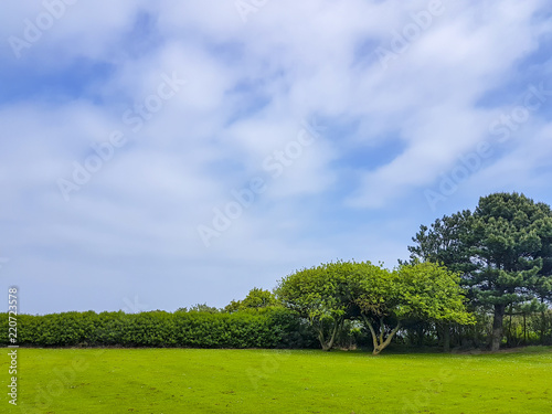 Wide Open Land