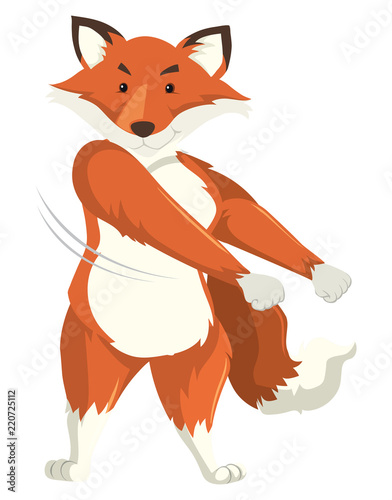 A fox dancing on white background