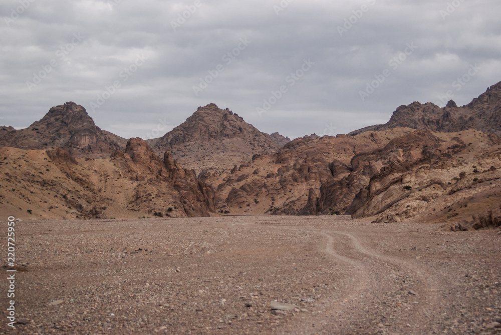 Alashan Plateau semi-desert. Southwest of the Eastern Gobi desert steppe