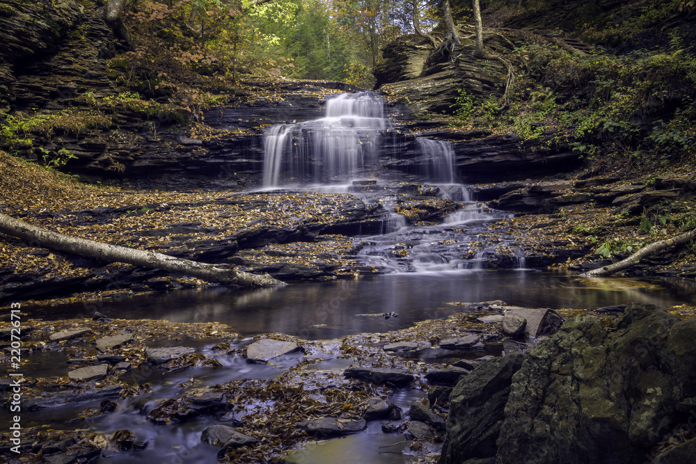 Obraz premium Autumn Leaves Cover Rocks Surrounding a Waterfall in Ricketts Glen State Park in Pennsylvania