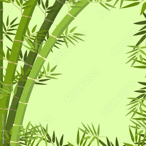 Fototapeta Naklejka Na Ścianę i Meble -  A green bamboo border