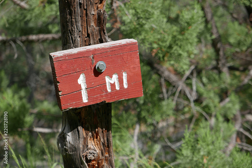 1-mile marker in a forest photo