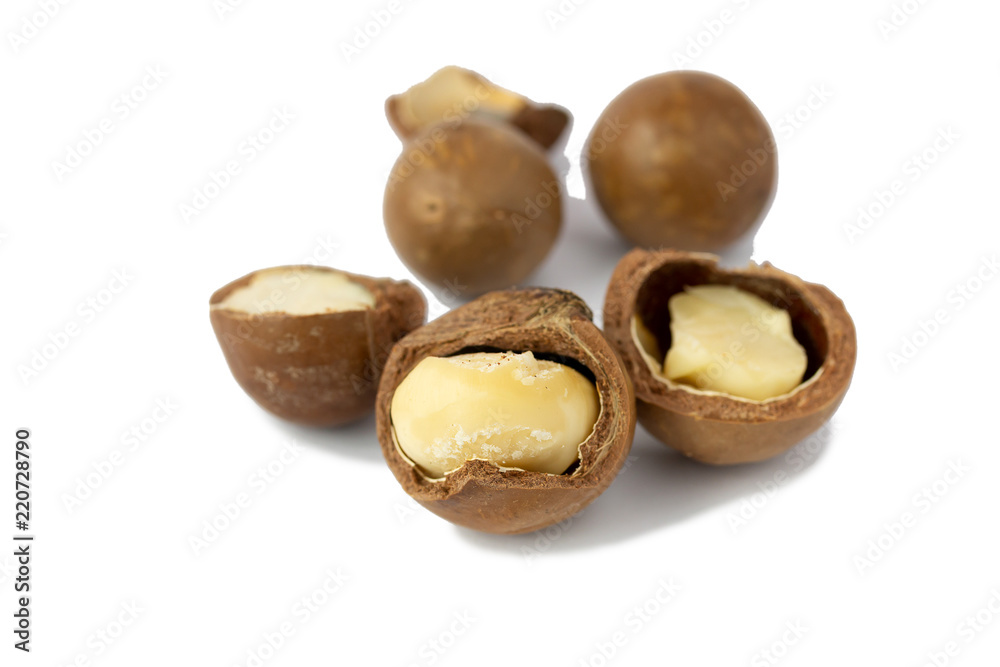 Macadamia fruit isolated on the white background
Macadamia fruit isolated on the white background