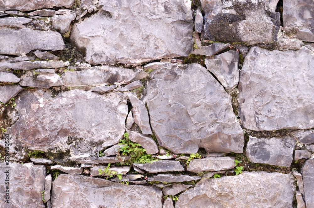 rock wall with little green leaves rock wall with little green leaves