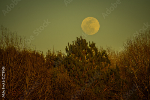 Big Moon