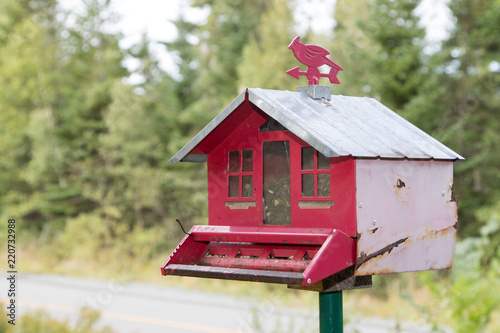 Red bird feeder