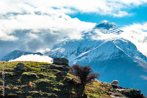 Stunning of the scenery of rocky mountain covered with snow after the raining day. Yellow meadow with a sheep. Cloudy and foggy. Diamond lake track, Wanaka, New Zealand. photo