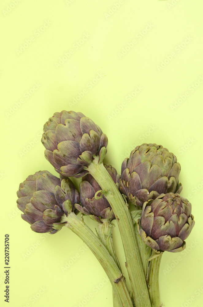Obraz premium Artichoke plant on green background