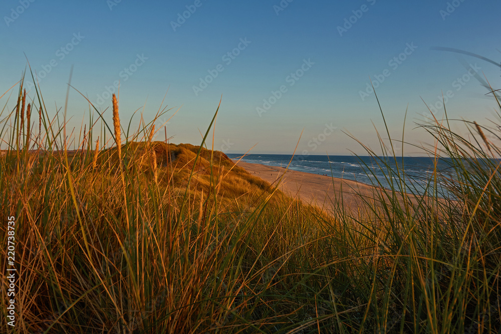 Obraz premium Sonnenuntergang in den Dühnen an der dänischen Nordsee