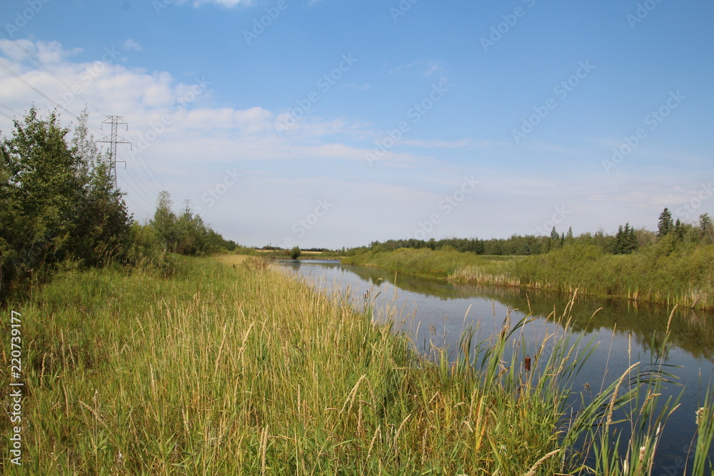 In The Heart Of The Wetlands, Pylypow Wetlands, Edmonton, Alberta