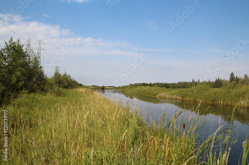 Fototapeta Naklejka Na Ścianę i Meble -  In The Heart Of The Wetlands, Pylypow Wetlands, Edmonton, Alberta