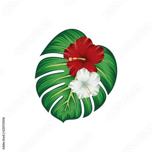 Tropical wildflower hibuscus red and white, monstera leaves, aquerelle flower for border or background vector illustration photo