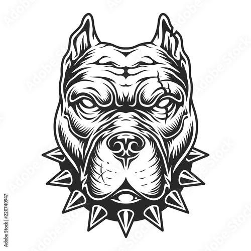 Pitbull head in black and white color style