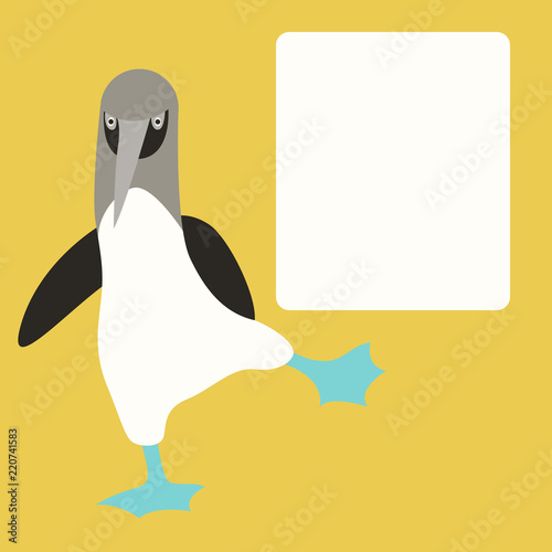 blue footed booby  vector illustration flat style   front 