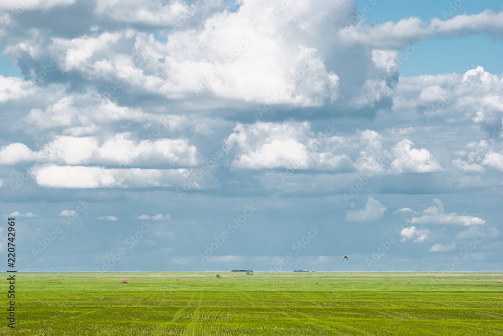 Clouds in blue skies and green grass beneath Clouds in blue skies and green grass beneath