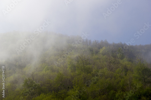 peak of mountain with fog and trees