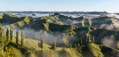Landscape from the Tahora Saddle in Taranaki, New Zealand, at dawn showing the green hilly farmland, a row of poplar trees and mist in the valleys.