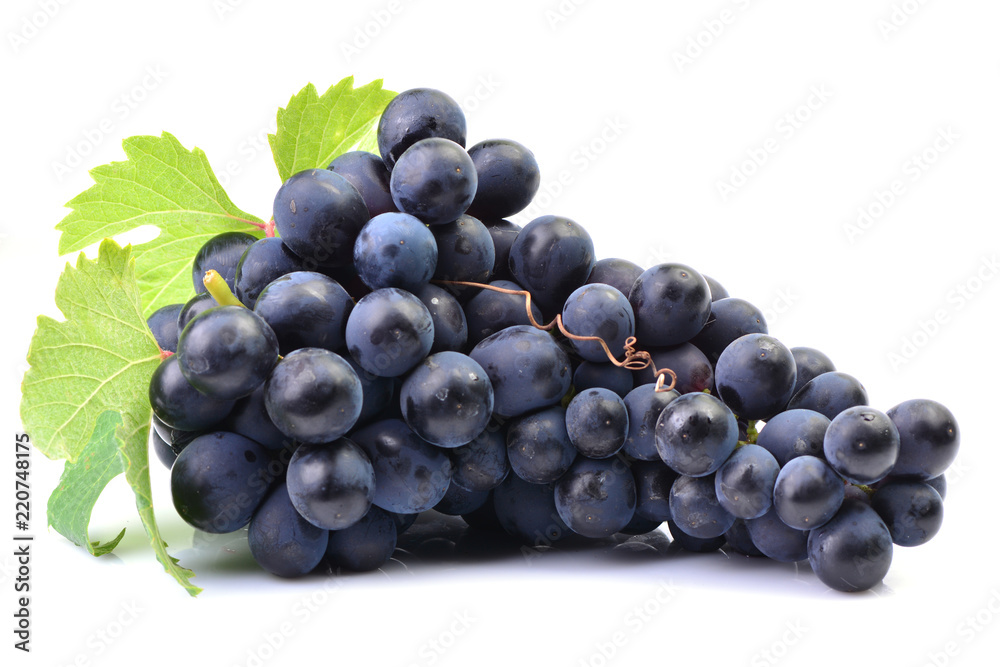 Grapes on a white background Stock Photo Adobe Stock