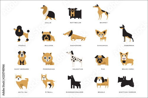 Collection of different dogs breeds characters and lettering breed in English vector Illustrations