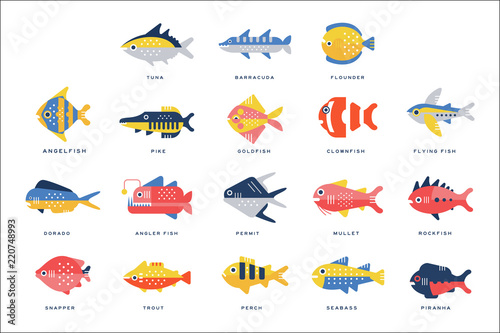Collection of sea and river fish and lettering name in English vector Illustrations © topvectors