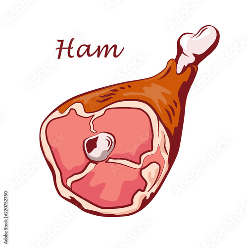 Pork knuckle. Ham hock isolated on white background. Meat on the bone. Colored image with contour. Vector illustration. Icon, emblem, logo element.