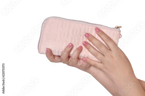 in hand purse-cosmetic bag