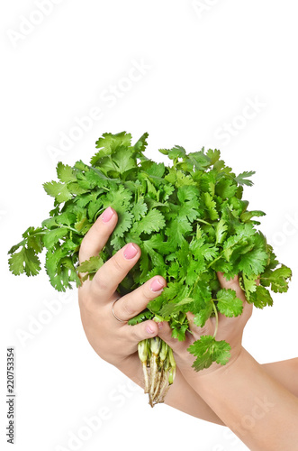 in hand a bouquet of green parsley