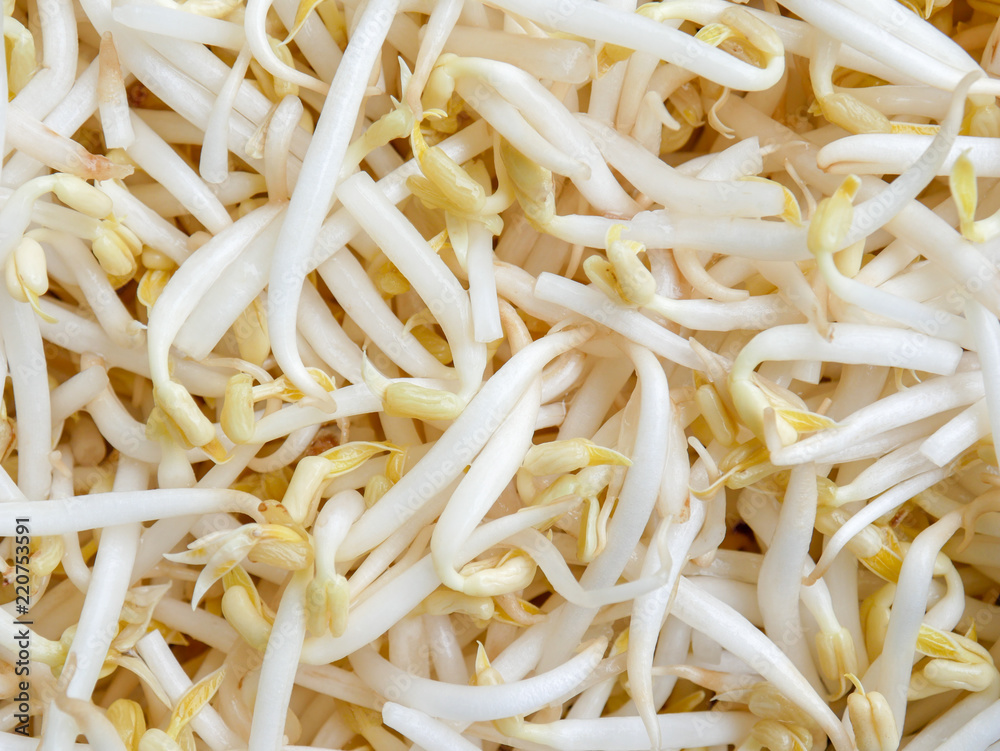 food background texture mung bean sprout