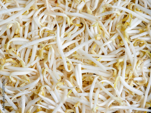 food background texture mung bean sprout
