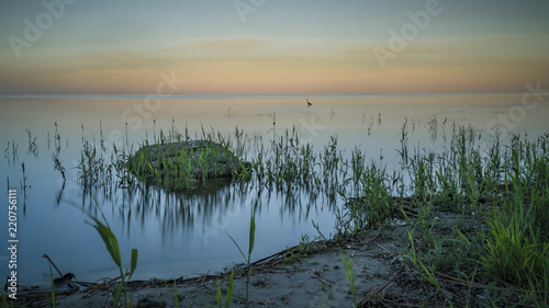 Nida - kurische Nehrung - Baltikum - Abendstimmung am Meer mit Gräsern, Steinen und Tieren
